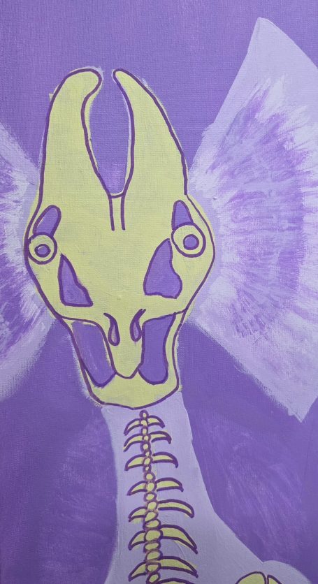 Dilophosaurus X Ray Skeleton WIP